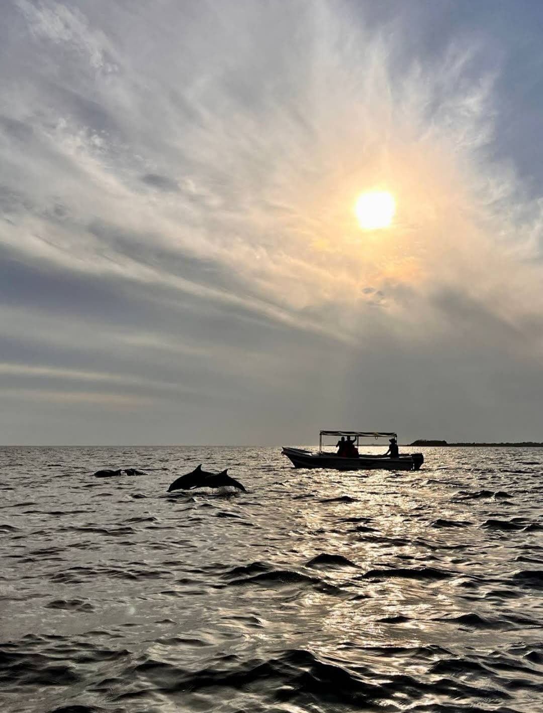 Dolphins leaping beside the boat at sunrise on the whale, dolphin and Pigeon Island combo tour in Trincomalee, Sri Lanka