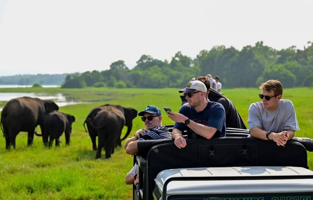 Guests watching wild elephants from an open safari jeep at Hurulu Eco Park