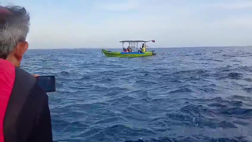 Spinner dolphin super-pod during a dolphin watching boat tour in Kalpitiya, Sri Lanka